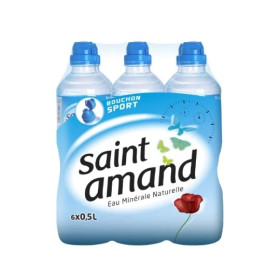 6X50cl Eau minérale Saint Amand
