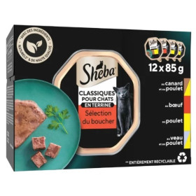 12x 85g barquette coffret terrine   - chat- Sheba