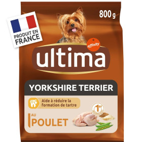 800g spécial mini yorkshire terrier  - chien - Ultima