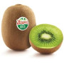 Kiwi vert pièce