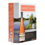 3L bag in box vin rosé - Cabernet Anjou Crf - La cave d'Augustin Florent