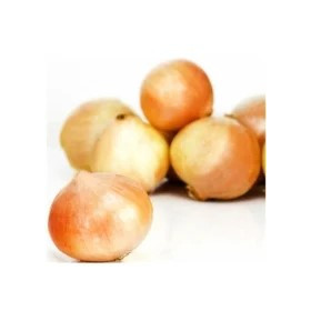 Oignon jaune vrac au kg