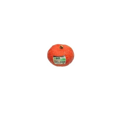 Potimarron bio pièce