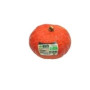 Potimarron bio pièce