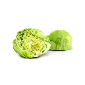 Laitue  Iceberg  (salade)