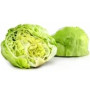 Laitue  Iceberg  (salade)