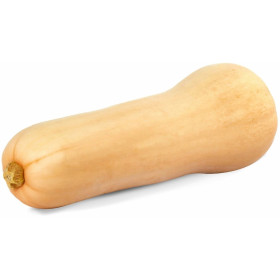 Butternut bio pièce