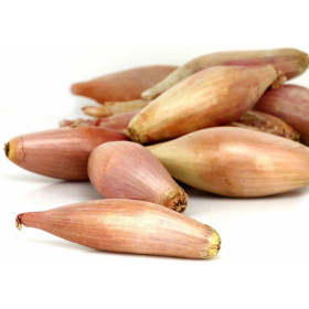 Echalote Reflets de France filet 250gr